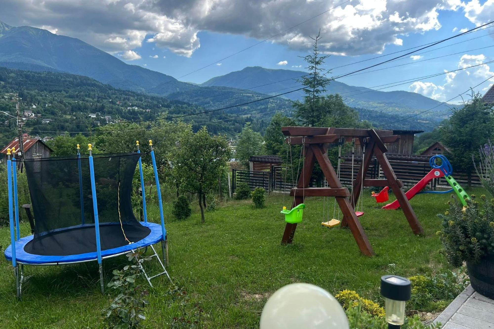 Pensiunea Hantig Tura Borşa Exterior foto